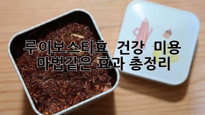 루이보스티효 💯 건강 & 미용, 마법같은 효과 총정리 ✨