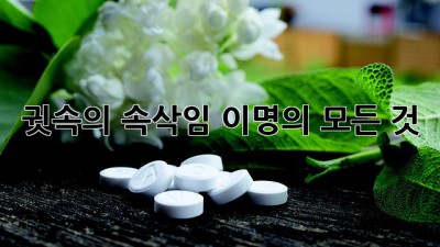 귓속의 속삭임? 이명의 모든 것