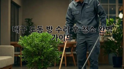 대구 도동🏡 방 수리 후 청소🧹 완벽 가이드✨